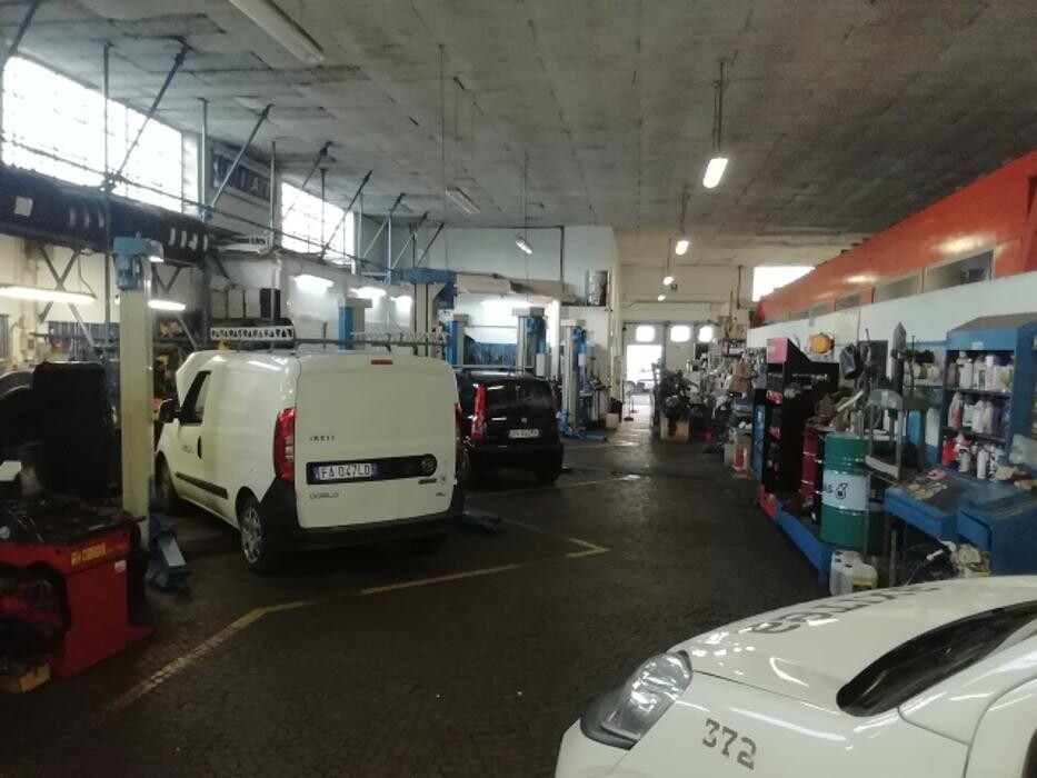 Images Euromaster Bonsi Romolo