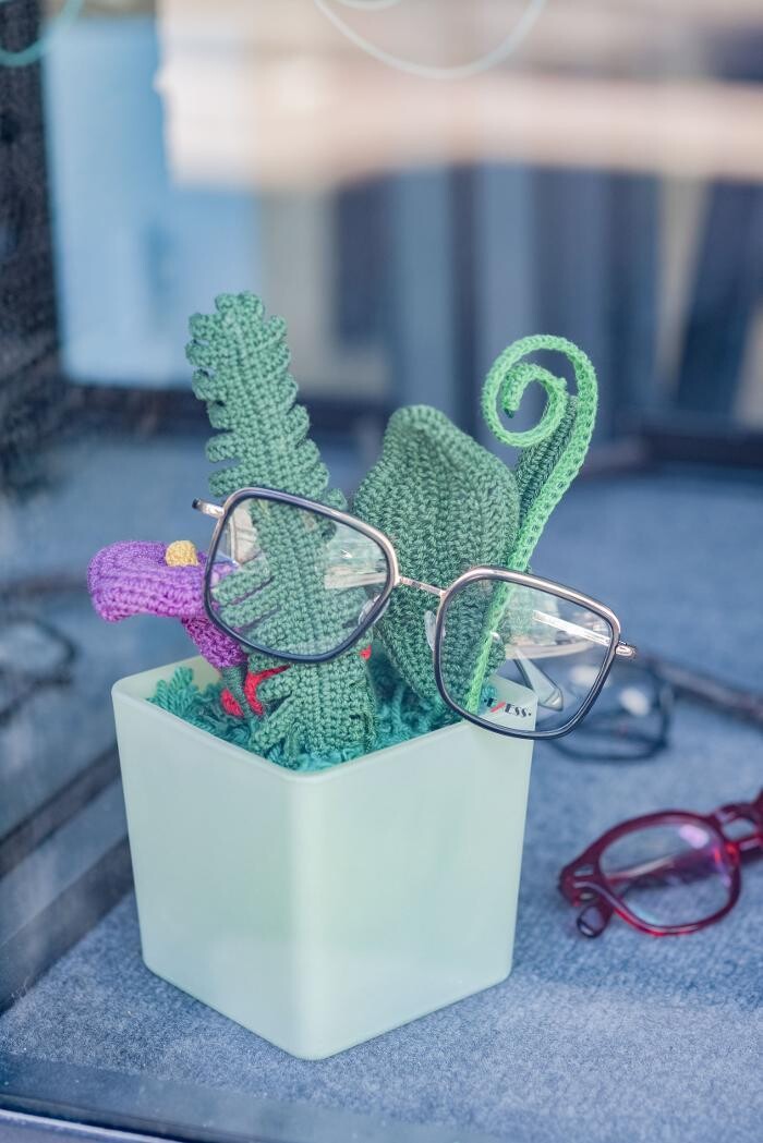 Images Ottica Agri Federico