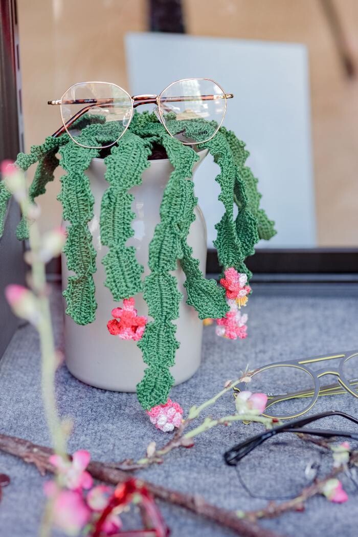 Images Ottica Agri Federico