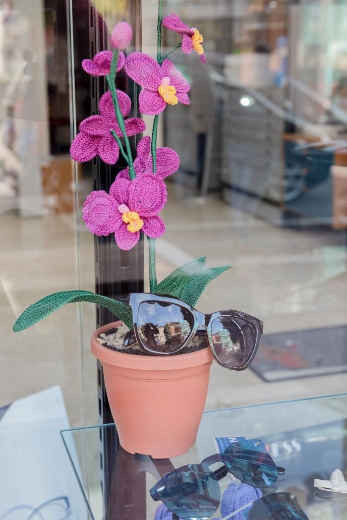 Images Ottica Agri Federico