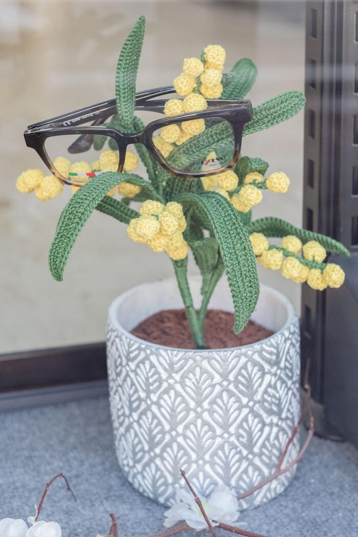 Images Ottica Agri Federico