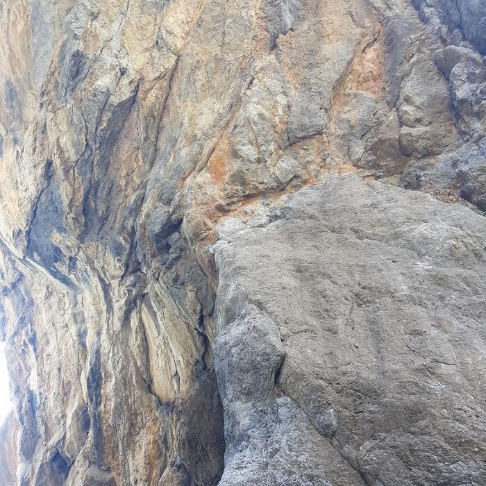 Images MM SERVICES POOL DESIGNER