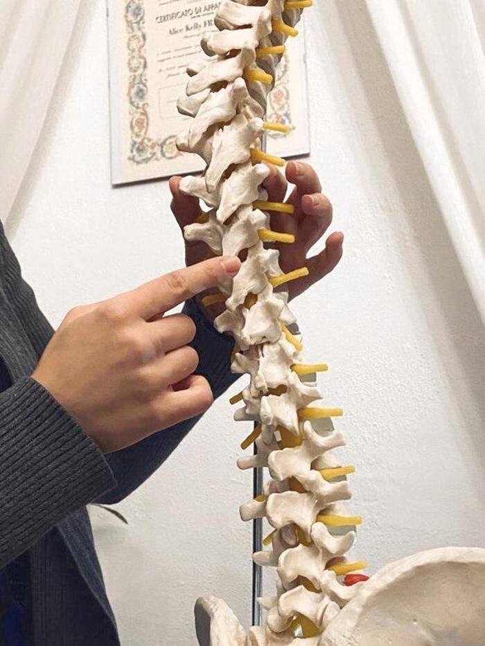 Images My Spine Design - Chiropratica