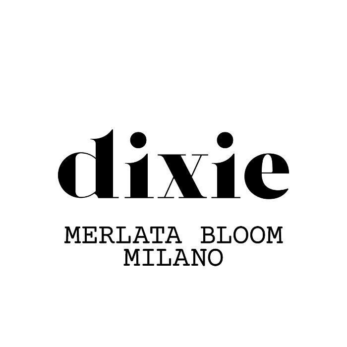 DIXIE Logo