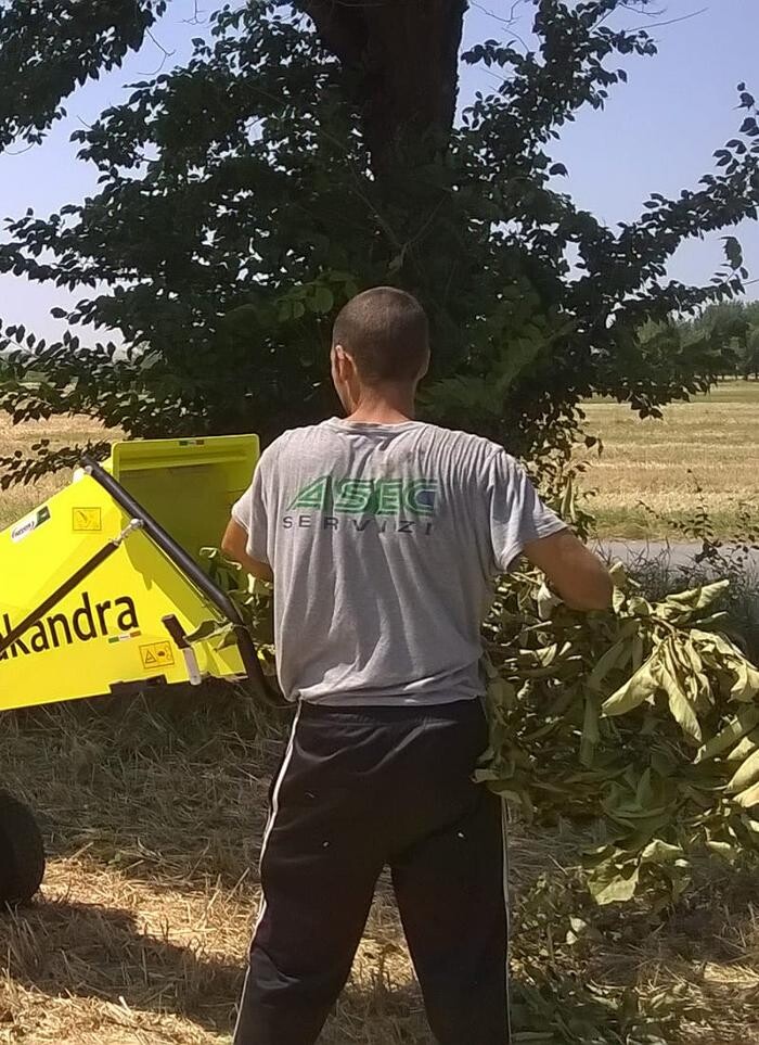 Images A.S.E.C. Servizi - Impresa di pulizie e giardinaggio