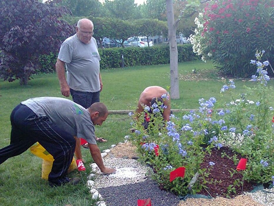 Images A.S.E.C. Servizi - Impresa di pulizie e giardinaggio