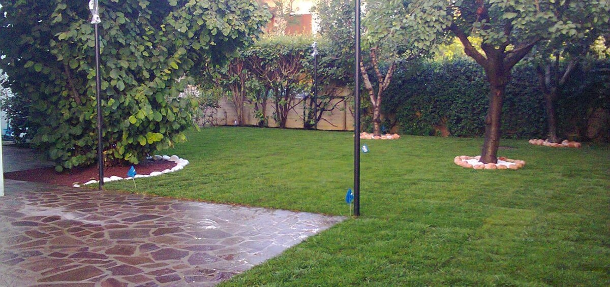 Images A.S.E.C. Servizi - Impresa di pulizie e giardinaggio