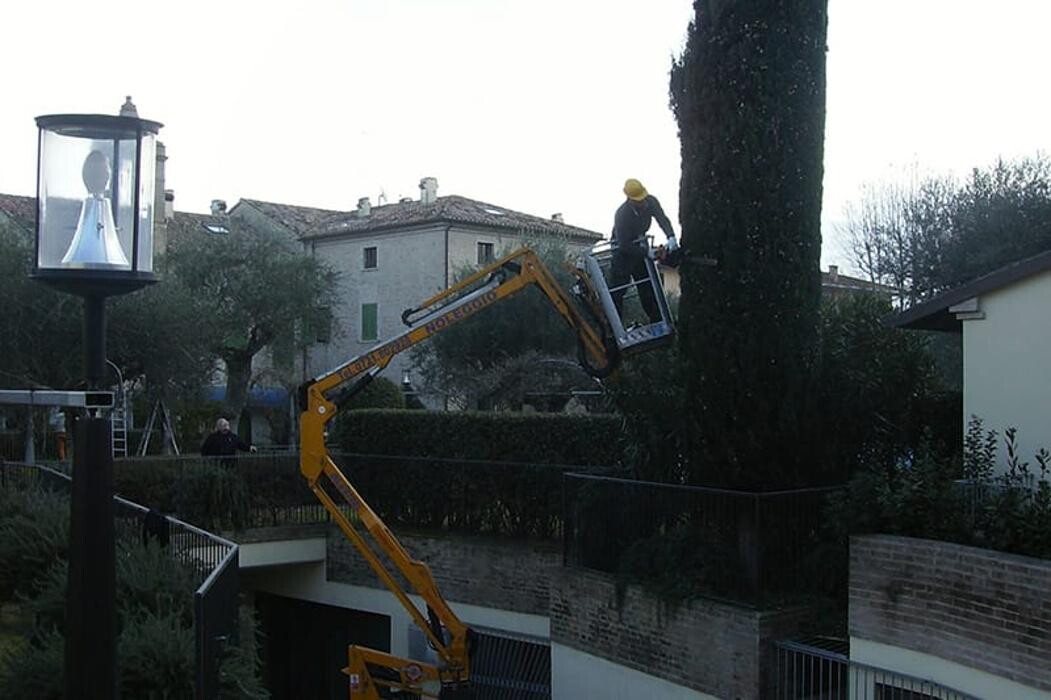 Images A.S.E.C. Servizi - Impresa di pulizie e giardinaggio