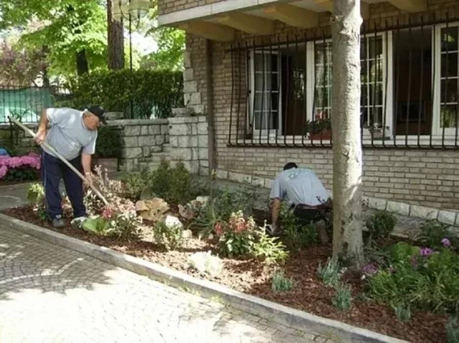 Images A.S.E.C. Servizi - Impresa di pulizie e giardinaggio