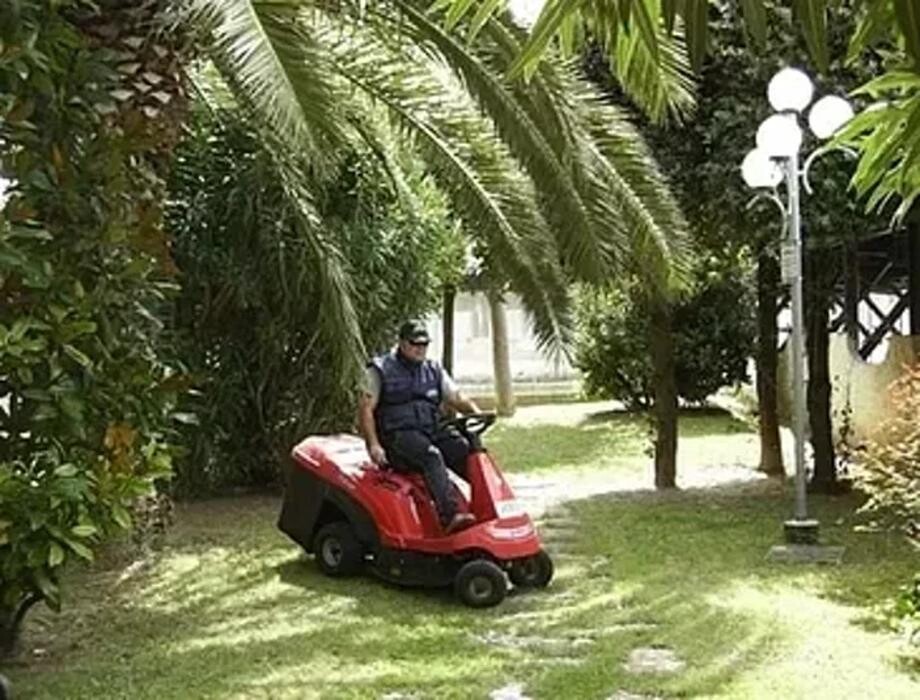 Images A.S.E.C. Servizi - Impresa di pulizie e giardinaggio
