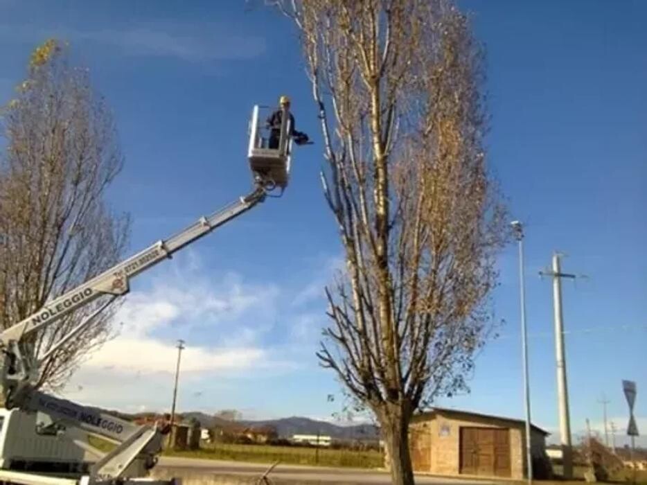 Images A.S.E.C. Servizi - Impresa di pulizie e giardinaggio