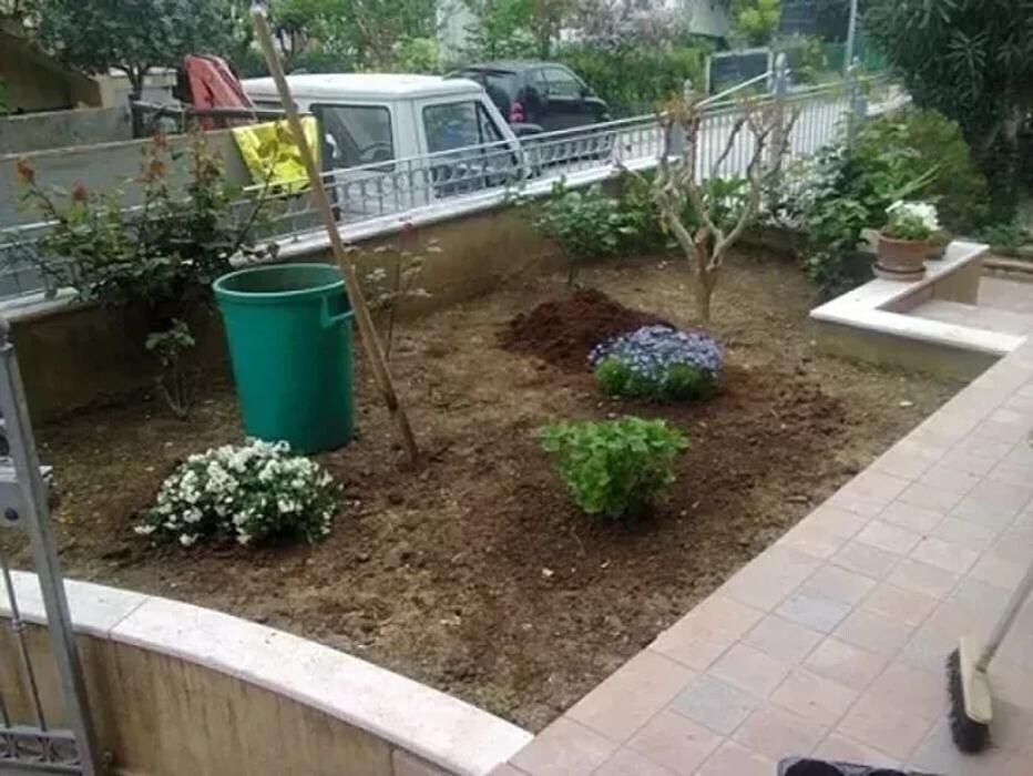 Images A.S.E.C. Servizi - Impresa di pulizie e giardinaggio