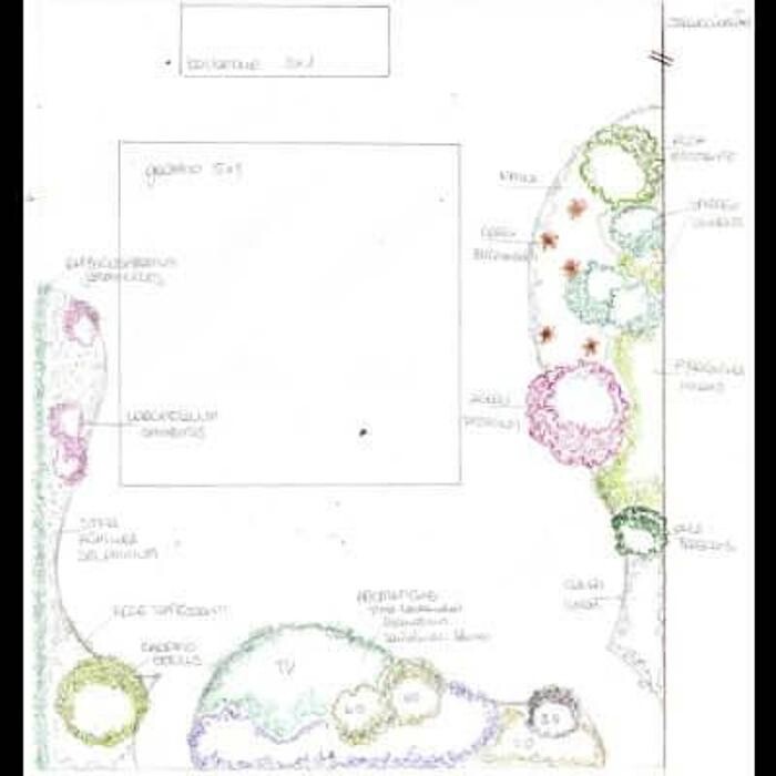 Images Garden Center Quadrifoglio - Vivaio e Servizi di Giardinaggio