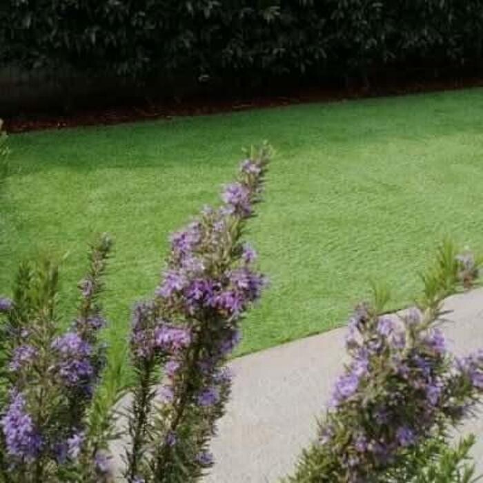 Images Garden Center Quadrifoglio - Vivaio e Servizi di Giardinaggio