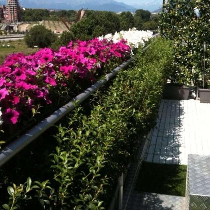 Images Garden Center Quadrifoglio - Vivaio e Servizi di Giardinaggio