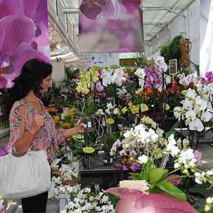 Images Garden Center Quadrifoglio - Vivaio e Servizi di Giardinaggio