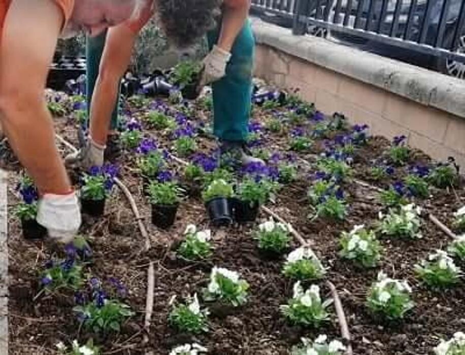 Images Garden Center Quadrifoglio - Vivaio e Servizi di Giardinaggio