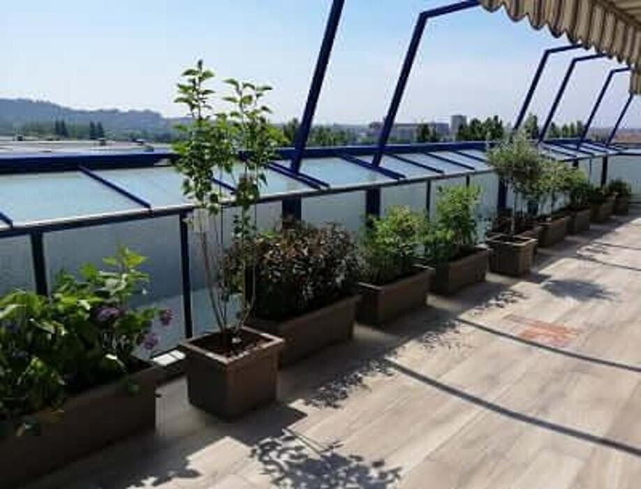 Images Garden Center Quadrifoglio - Vivaio e Servizi di Giardinaggio