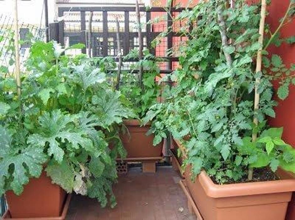 Images Garden Center Quadrifoglio - Vivaio e Servizi di Giardinaggio