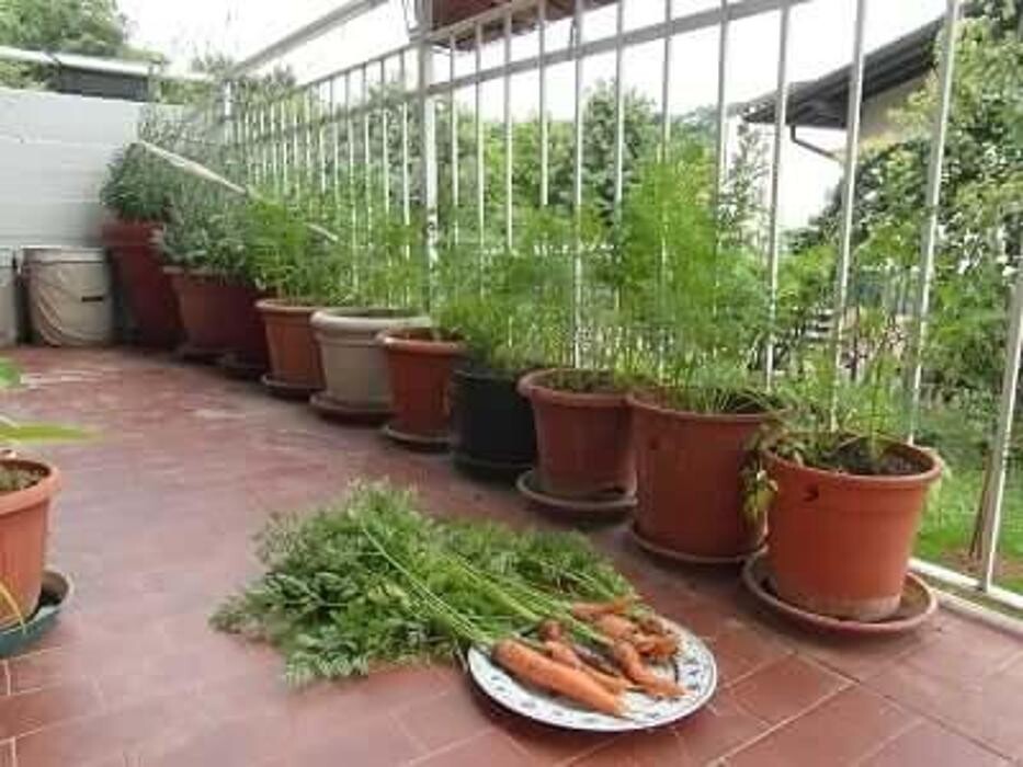 Images Garden Center Quadrifoglio - Vivaio e Servizi di Giardinaggio