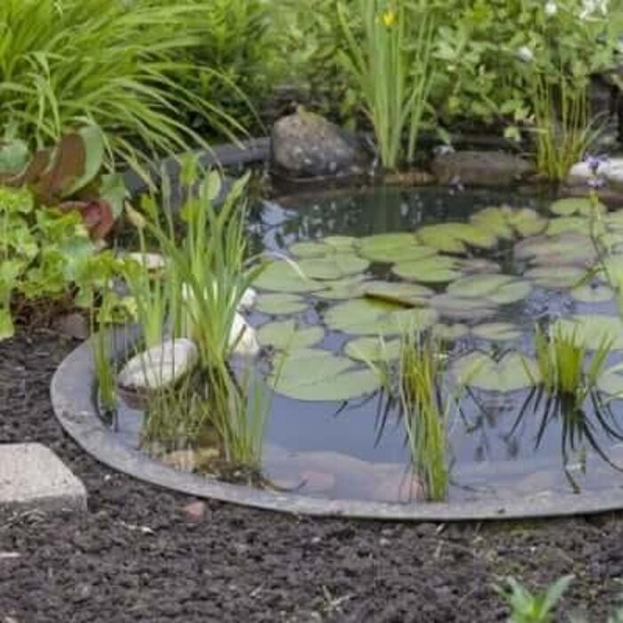 Images Garden Center Quadrifoglio - Vivaio e Servizi di Giardinaggio