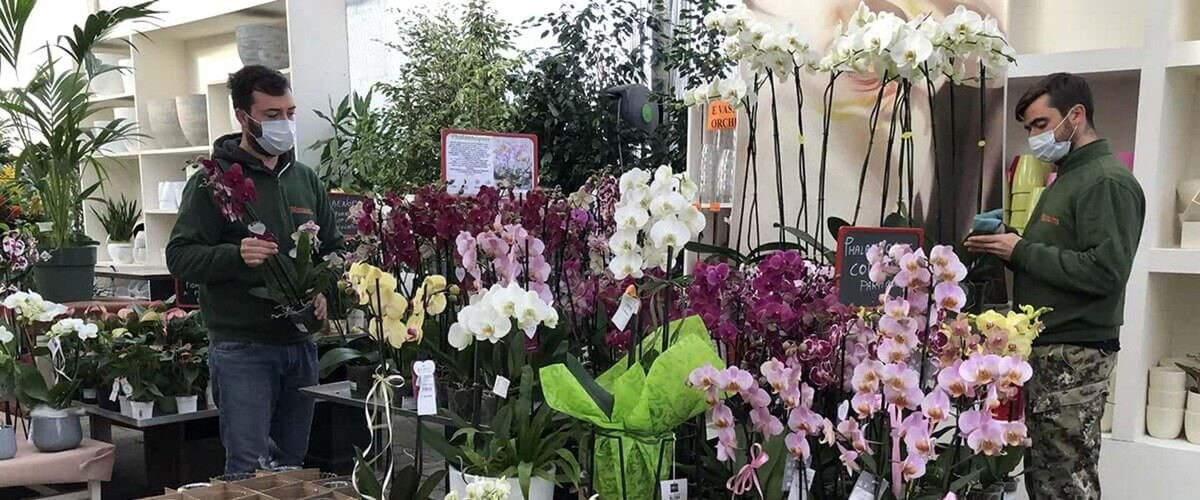 Images Garden Center Quadrifoglio - Vivaio e Servizi di Giardinaggio