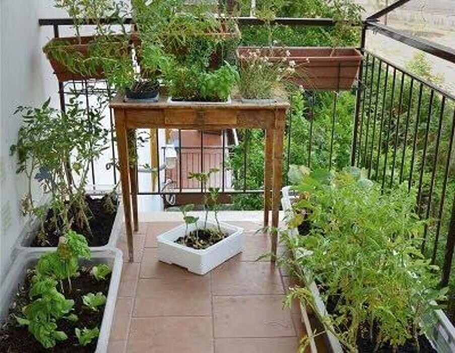 Images Garden Center Quadrifoglio - Vivaio e Servizi di Giardinaggio