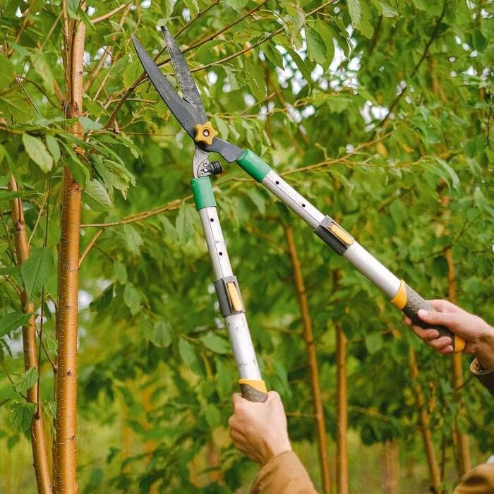 Images Garden Center Quadrifoglio - Vivaio e Servizi di Giardinaggio