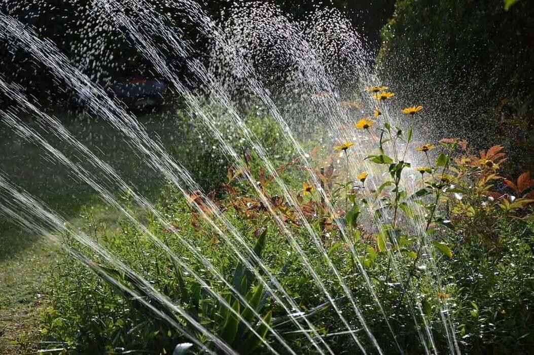 Images Garden Center Quadrifoglio - Vivaio e Servizi di Giardinaggio