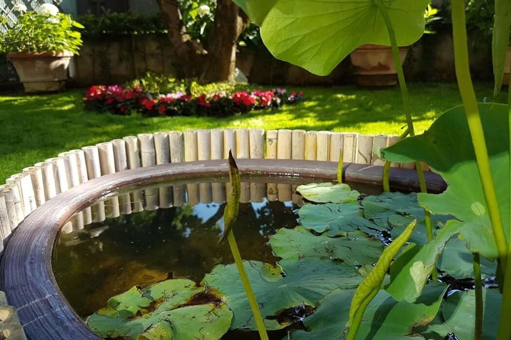 Images Garden Center Quadrifoglio - Vivaio e Servizi di Giardinaggio