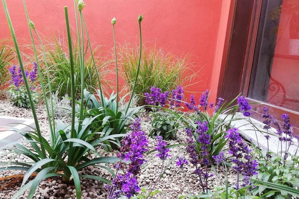 Images Garden Center Quadrifoglio - Vivaio e Servizi di Giardinaggio