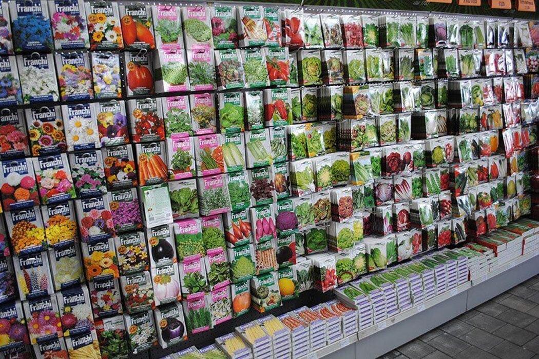 Images Garden Center Quadrifoglio - Vivaio e Servizi di Giardinaggio