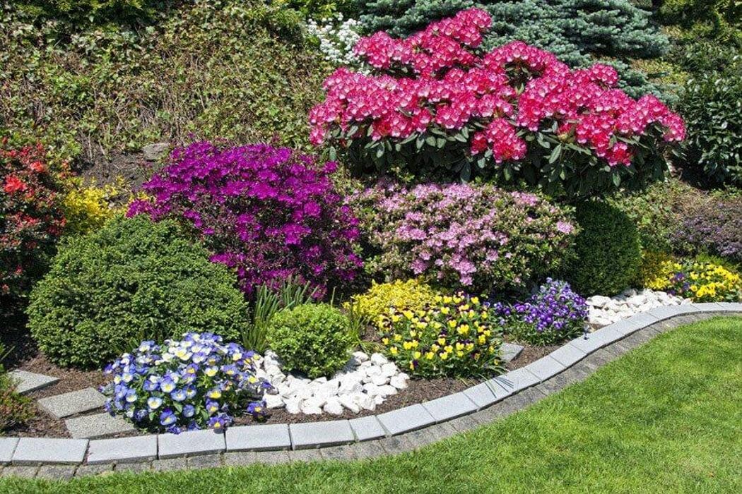 Images Garden Center Quadrifoglio - Vivaio e Servizi di Giardinaggio