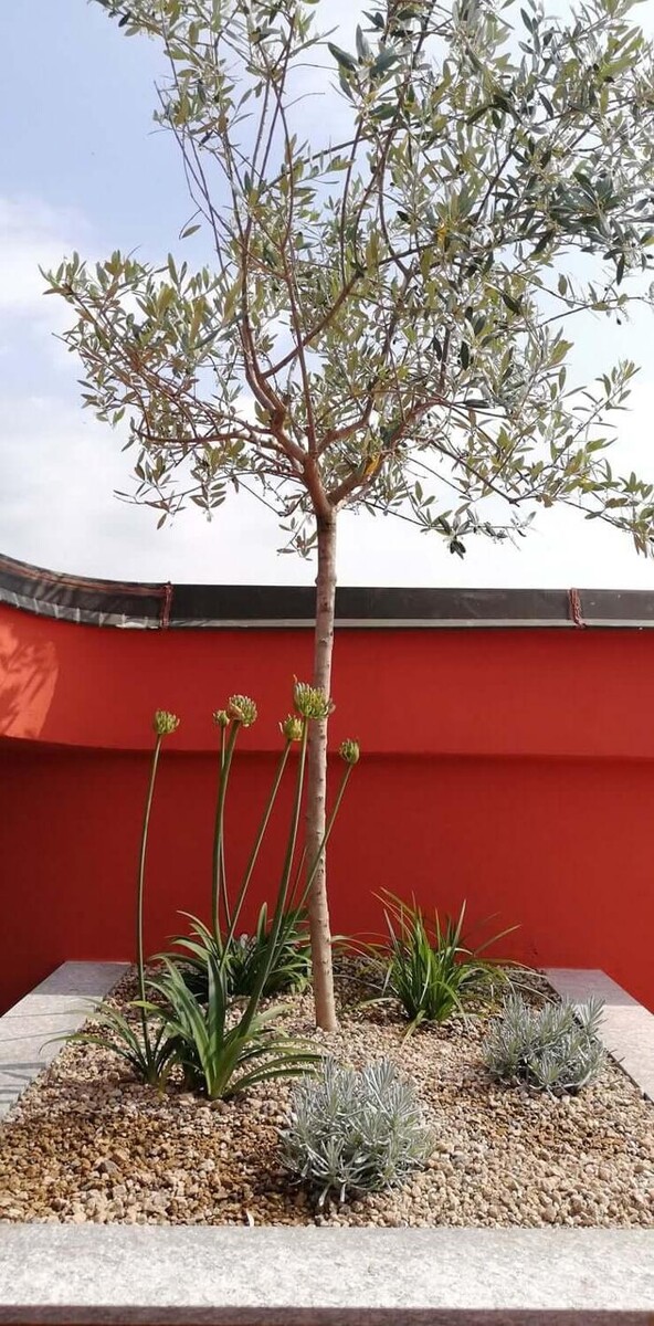 Images Garden Center Quadrifoglio - Vivaio e Servizi di Giardinaggio