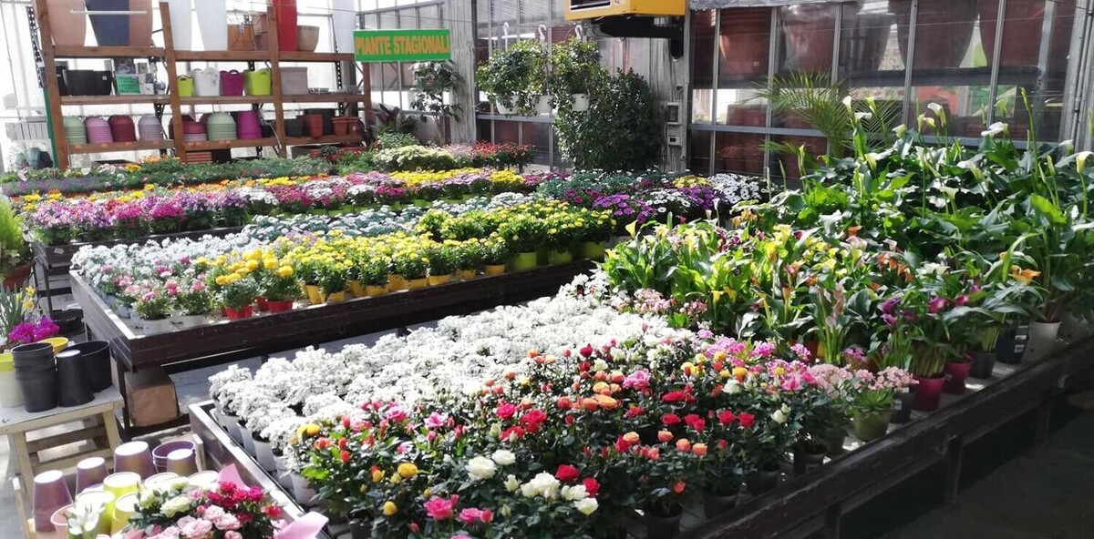 Images Garden Center Quadrifoglio - Vivaio e Servizi di Giardinaggio