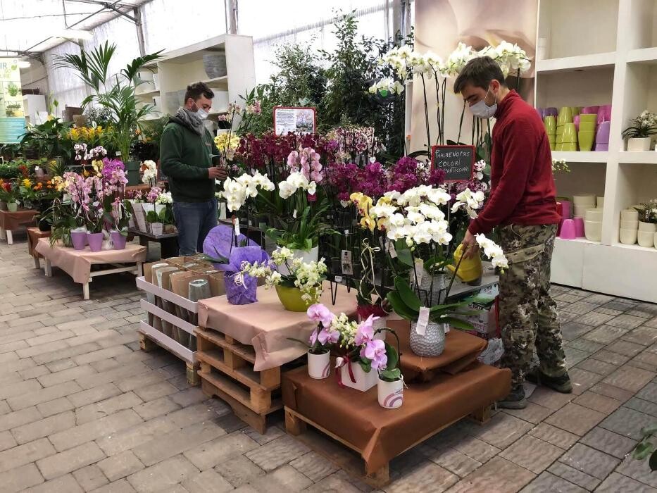 Images Garden Center Quadrifoglio - Vivaio e Servizi di Giardinaggio