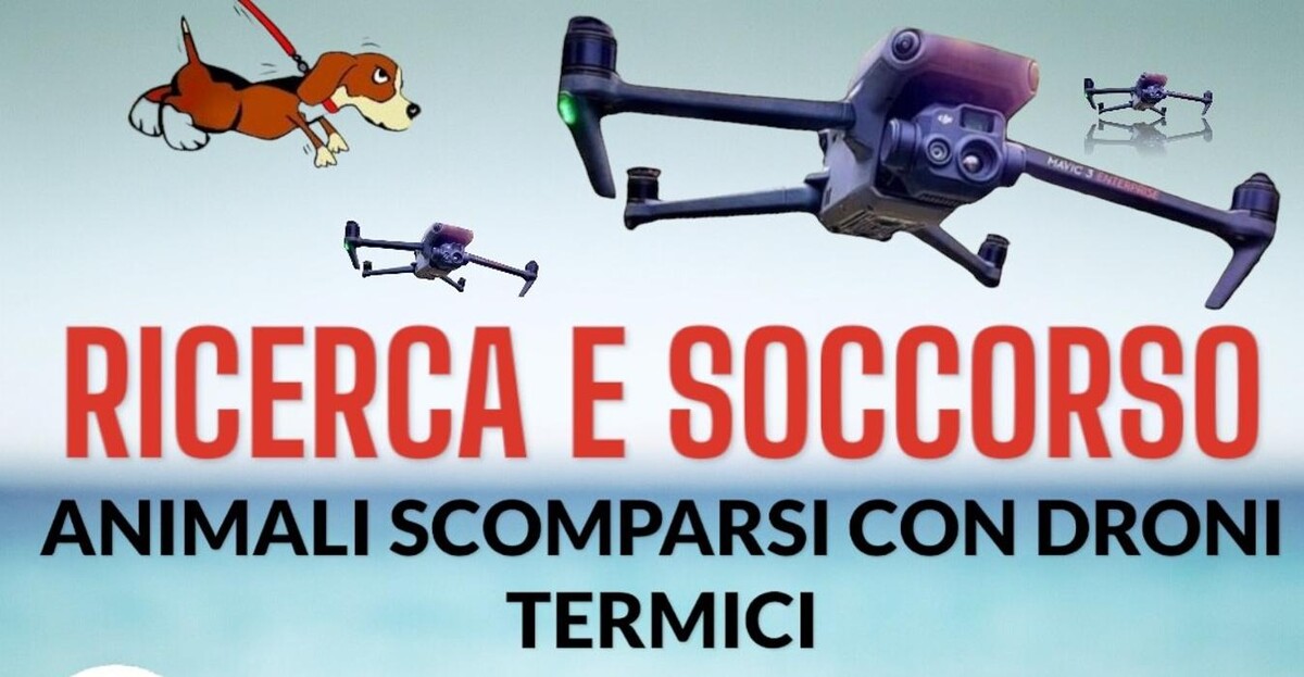Images AGS RICERCA ANIMALI SMARRITI