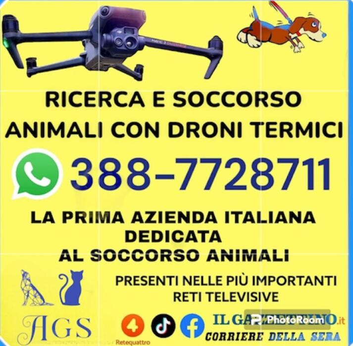 Images AGS RICERCA ANIMALI SMARRITI