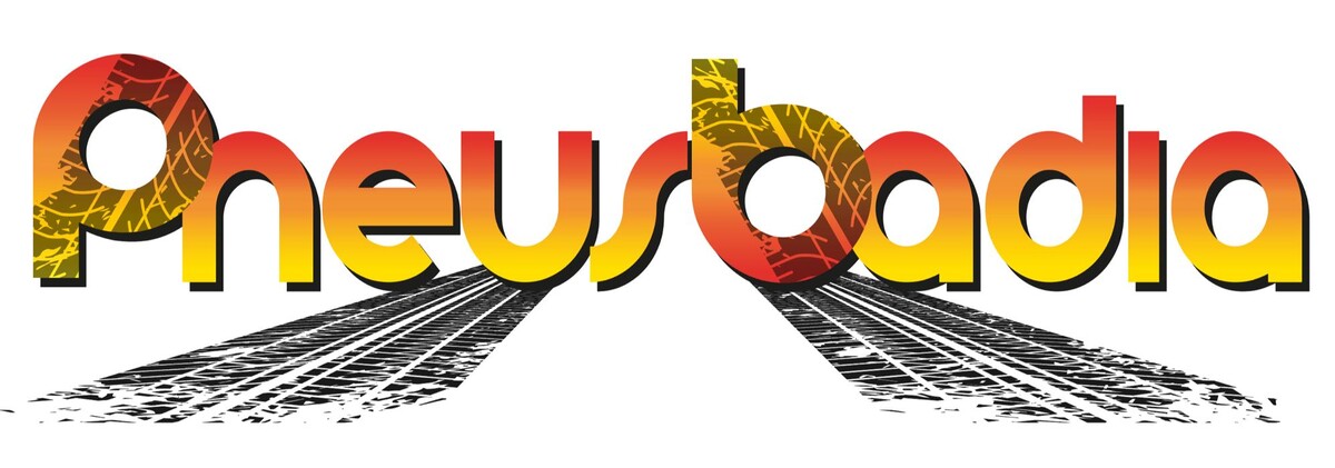 Images Pneus Badia Sas di Gregnanin Sara & C. - Mastro Michelin