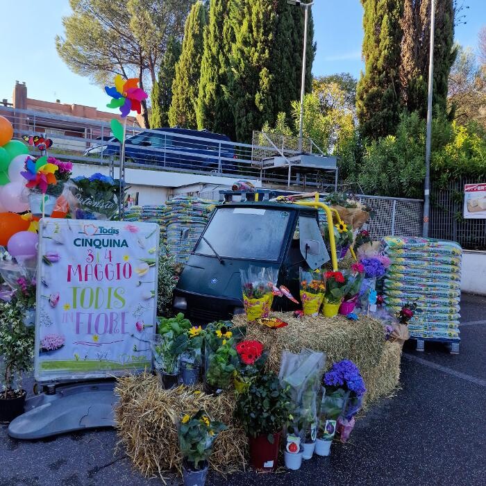 Images Todis - Supermercato (Roma- Via Emilio Teza)
