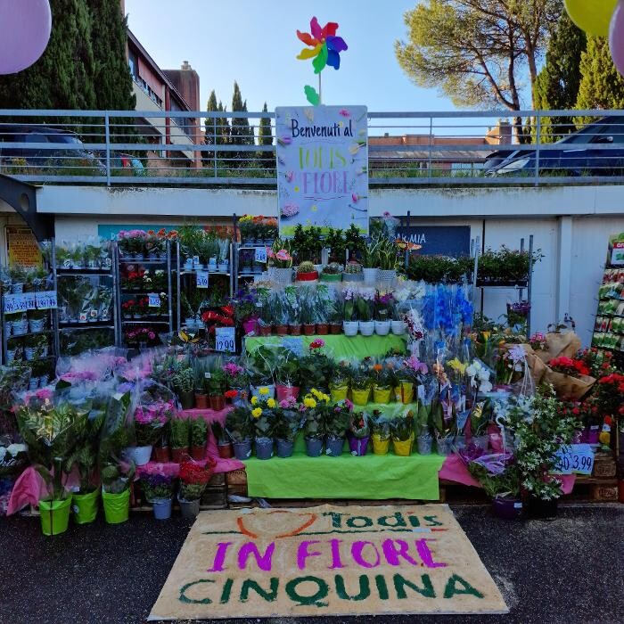 Images Todis - Supermercato (Roma- Via Emilio Teza)