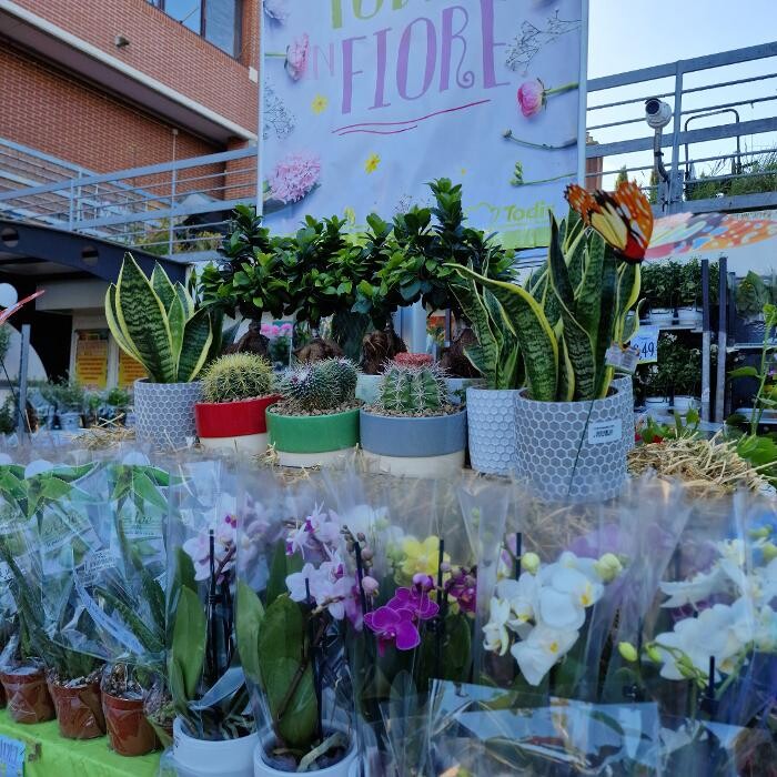 Images Todis - Supermercato (Roma- Via Emilio Teza)