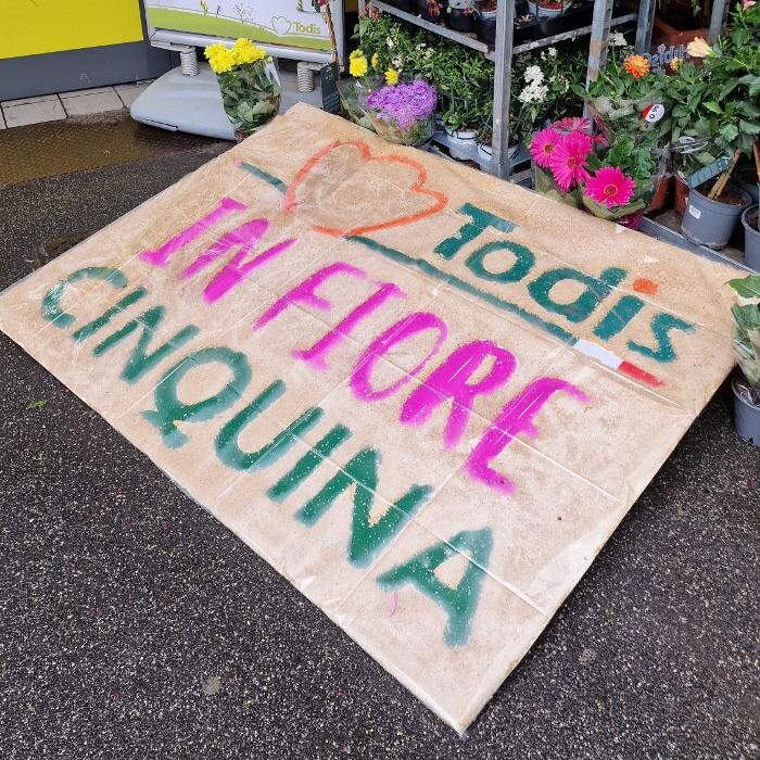 Images Todis - Supermercato (Roma- Via Emilio Teza)