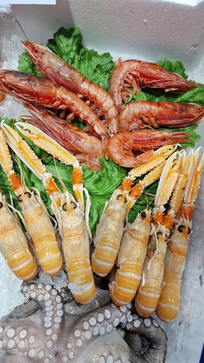 Images Todis - Supermercato (Roma- Via Emilio Teza)