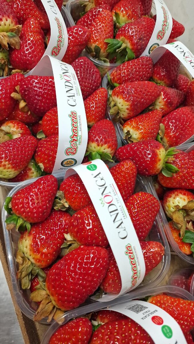 Images Todis - Supermercato (Roma- Via Emilio Teza)