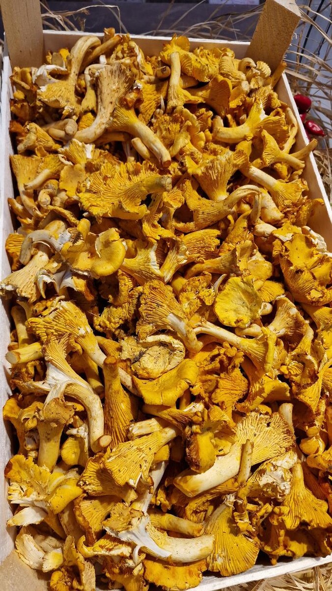 Images Todis - Supermercato (Roma- Via Emilio Teza)