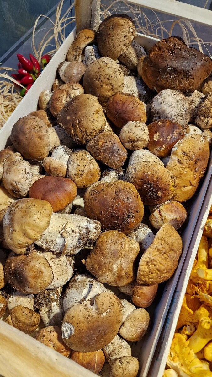 Images Todis - Supermercato (Roma- Via Emilio Teza)
