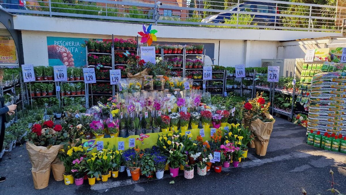 Images Todis - Supermercato (Roma- Via Emilio Teza)
