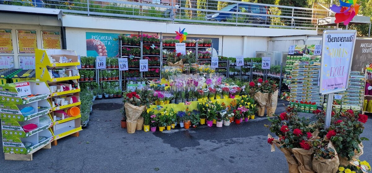 Images Todis - Supermercato (Roma- Via Emilio Teza)