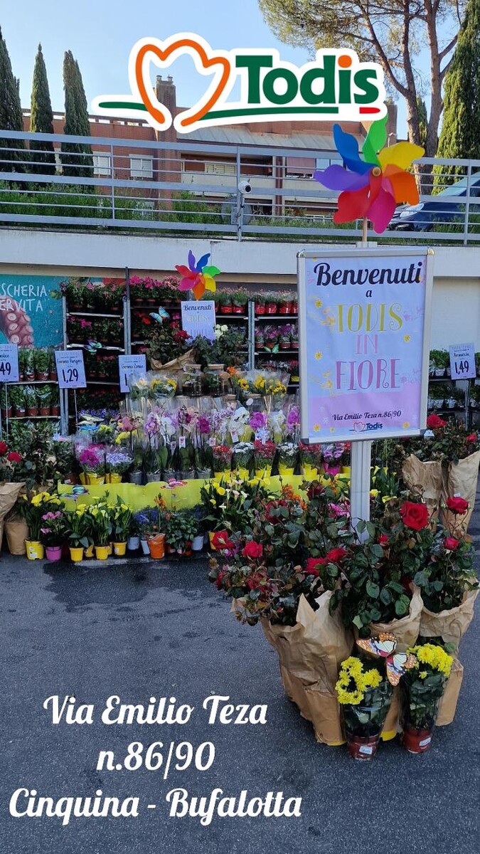 Images Todis - Supermercato (Roma- Via Emilio Teza)